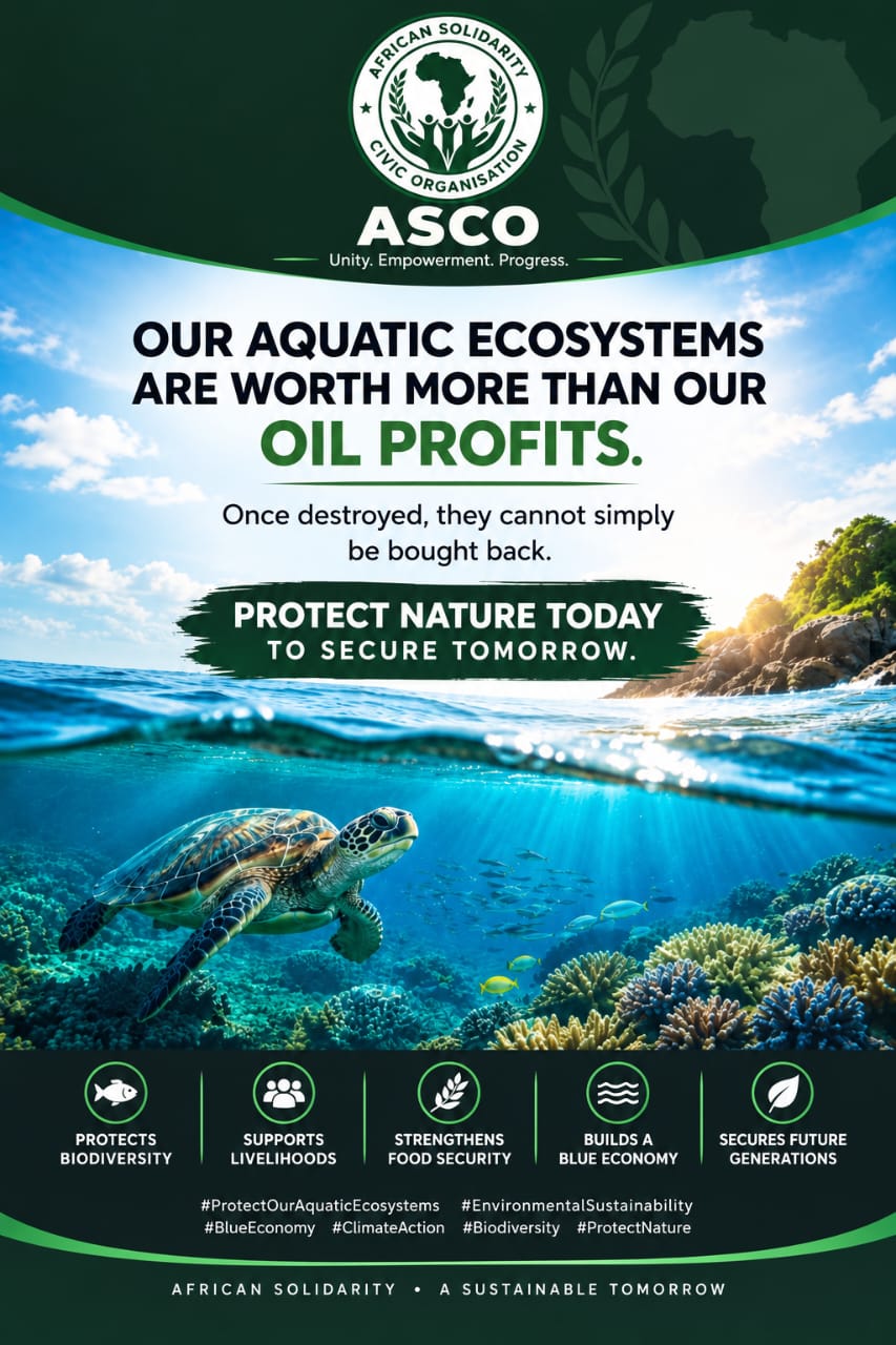 Advocacy poster reading "Our aquatic ecosystems are worth more than our oil profits. Once destroyed, they cannot simply be bought back.", showing a sea turtle swimming underwater near a healthy coral reef with a coastal island above the waterline.